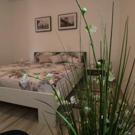 La Maison Apartamento Zadar