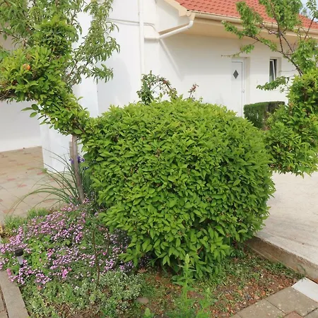 La Maison