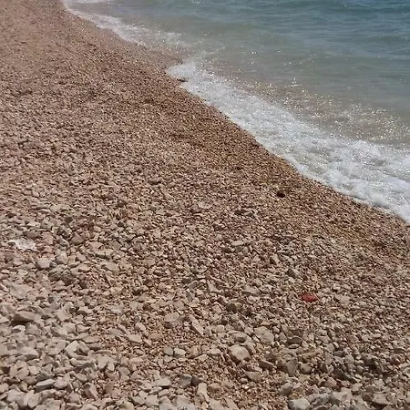 La Maison زادار