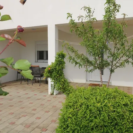 Apartment La Maison Zadar